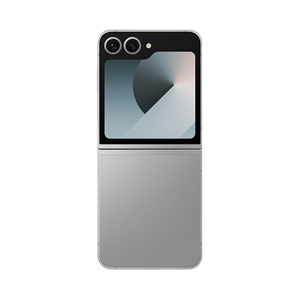 Samsung Galaxy Z Flip 6 - Silver Shadow